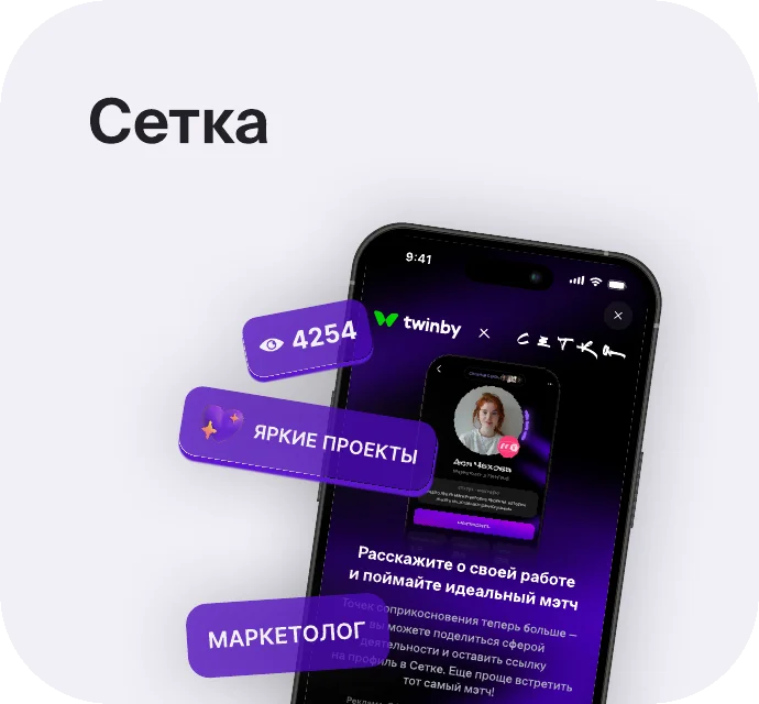 Кейс Сетка × Twinby